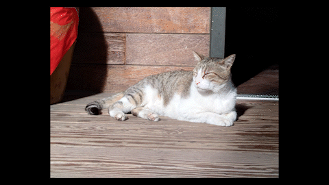 Sony Xperia 1 IV 開箱體驗 | 4K HDR 120FPS錄影、1秒HDR20高速連拍、望遠鏡頭全光學無縫變焦