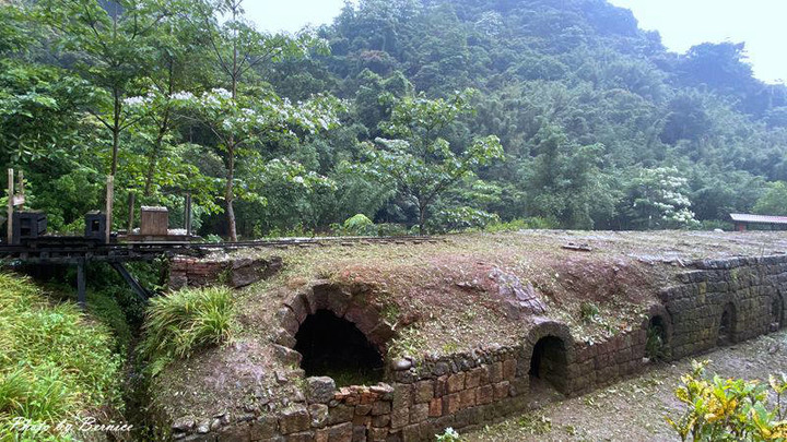 瑪西雨中桐遊~親子桐遊趣.微雨中賞桐也很浪漫
