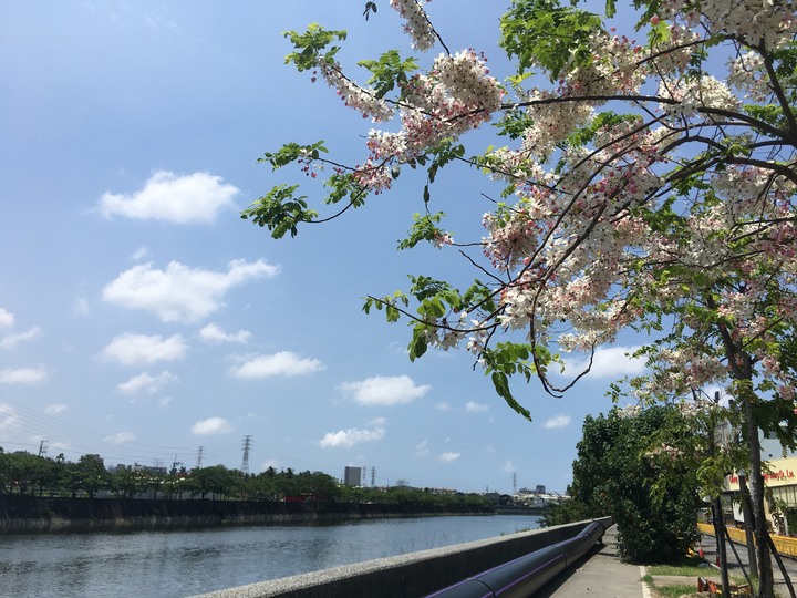 台南山海圳綠道自行車道