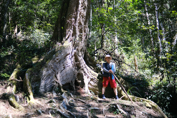 【東藤枝山】藤枝國家森林遊樂區裡讓人驚豔的小百岳
