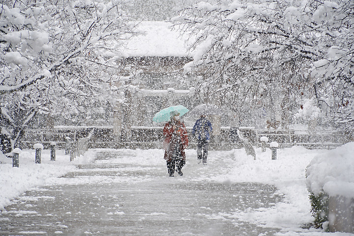 【A7RIV】2021 京都的生活 冬