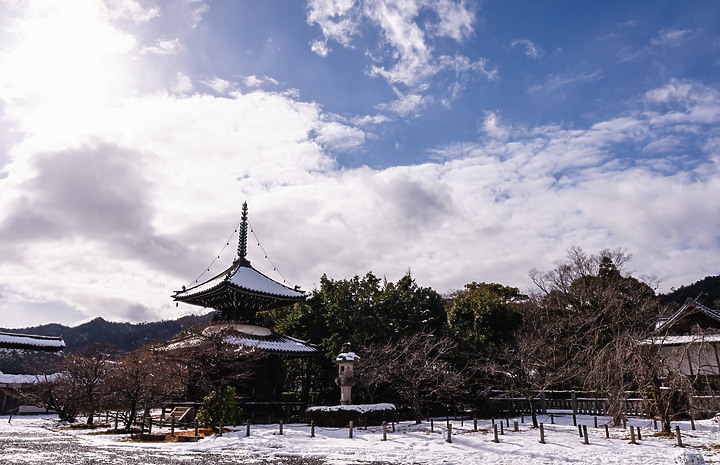 【A7RIV】2021 京都的生活 冬