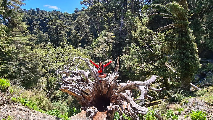 點我看大圖 登百岳六順山~遊七彩湖妹池~溯卡社溪糜爛團