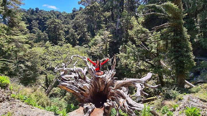 登百岳六順山~遊七彩湖妹池～溯卡社溪糜爛團