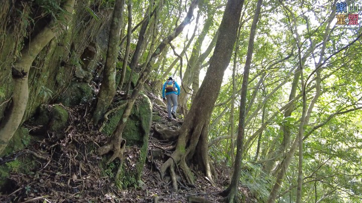 [樂山童盟] [新北平溪] 中央尖-臭頭山-東勢格越嶺步道
