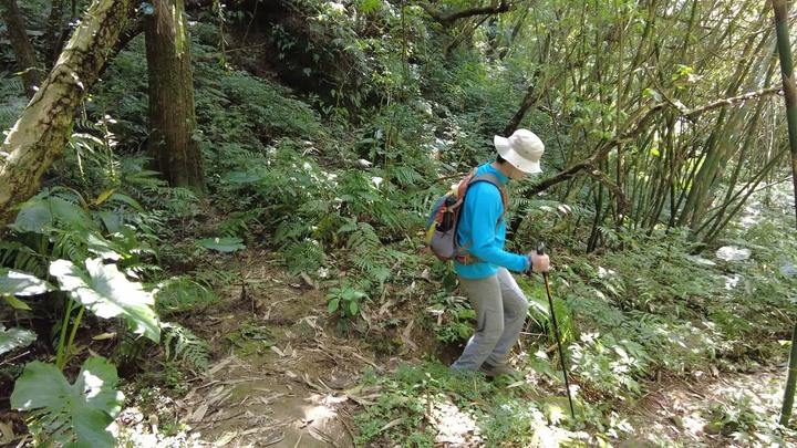 [樂山童盟] [新北平溪] 中央尖-臭頭山-東勢格越嶺步道