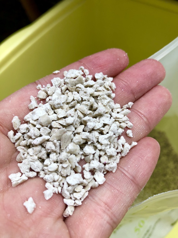 Zimple開箱 天然豆腐砂+健康貓罐罐