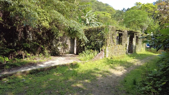 [樂山童盟] [新北平溪] 中央尖-臭頭山-東勢格越嶺步道