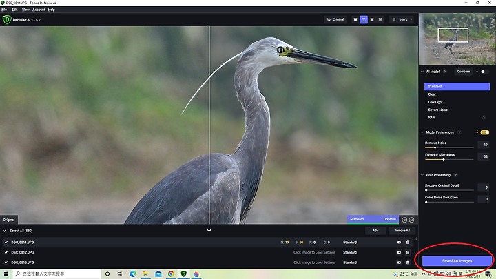 Z9的120fps880張林邊崎峰暗色型小白鷺，經Denoise AI降躁，以4K格式輸出影片。