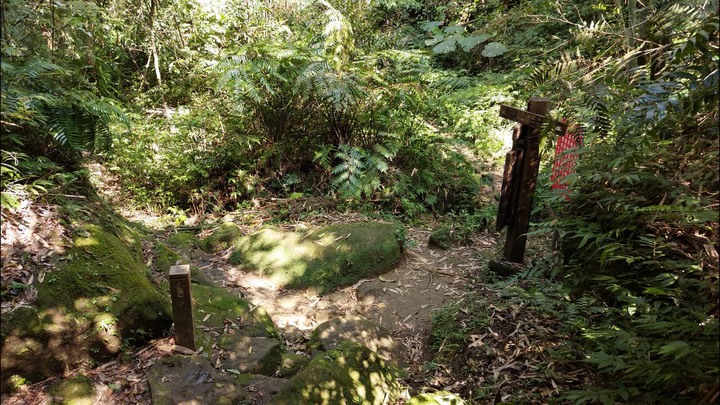[樂山童盟] [新北平溪] 中央尖-臭頭山-東勢格越嶺步道