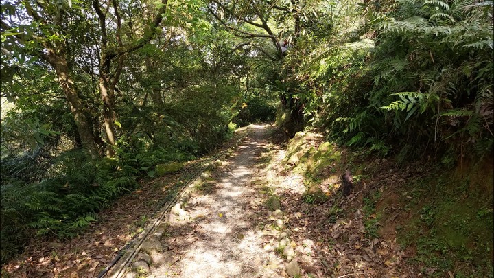 [樂山童盟] [新北平溪] 中央尖-臭頭山-東勢格越嶺步道