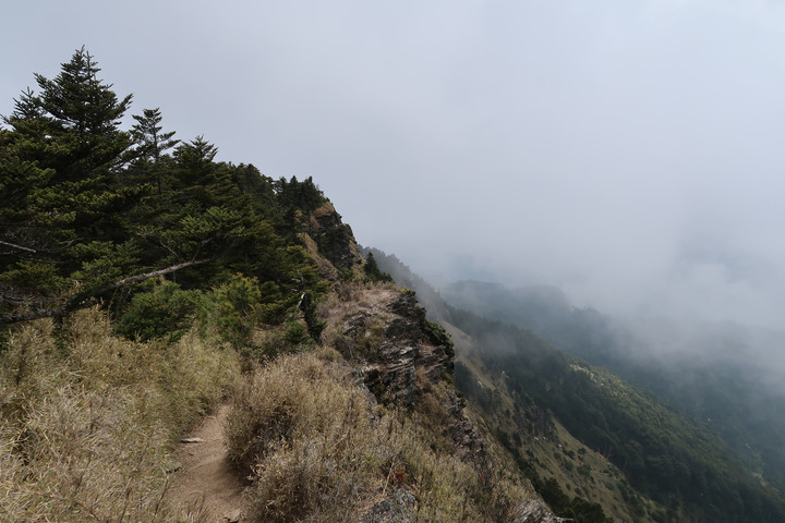 點我看大圖 【畢祿山】新登山口高繞路況介紹 | 單攻中橫四辣之中辣