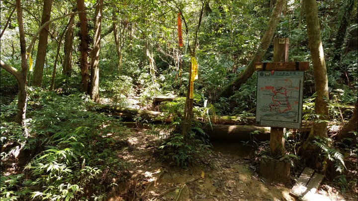 [樂山童盟] [新北平溪] 中央尖-臭頭山-東勢格越嶺步道