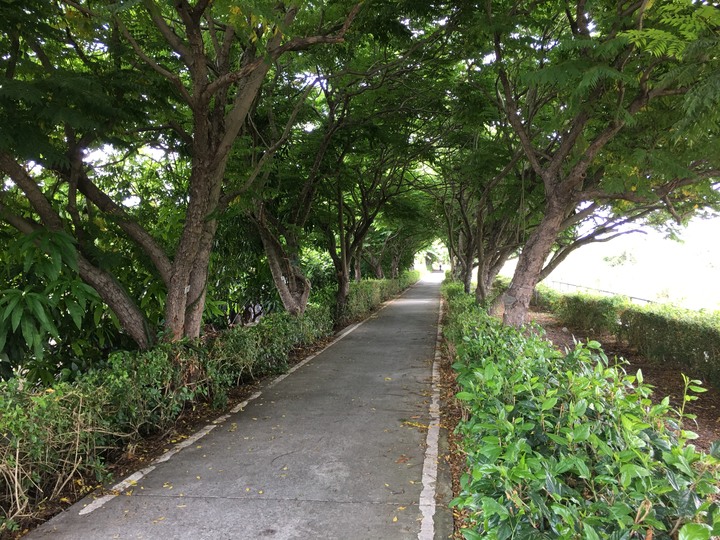 台南山海圳綠道自行車道