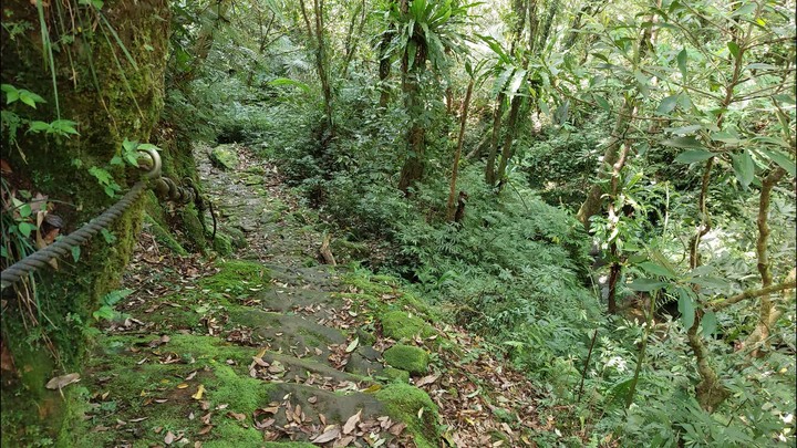 [樂山童盟] [新北平溪] 中央尖-臭頭山-東勢格越嶺步道