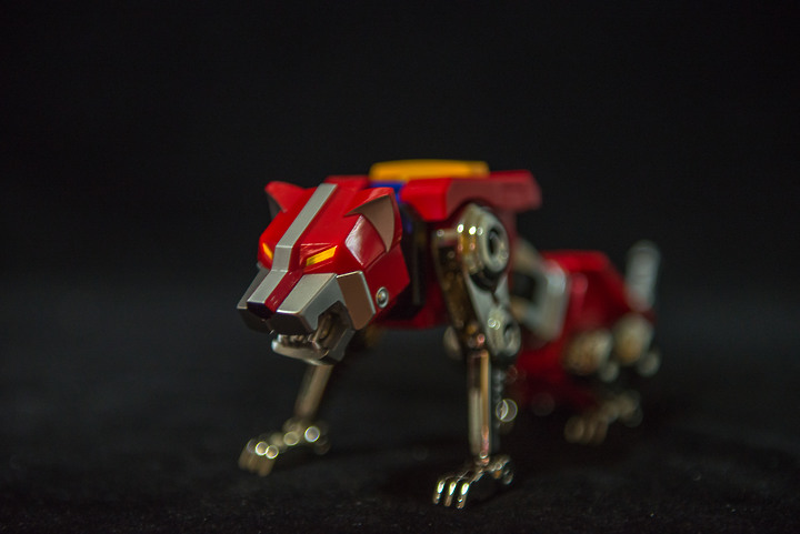 Blitzway × 5PRO STUDIO CARBOTIX《聖戰士》VOLTRON