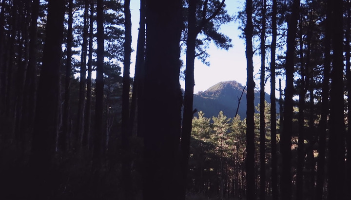 【南湖大山】三天兩夜六座百岳 | Day1 勝光登山口到南湖圈谷