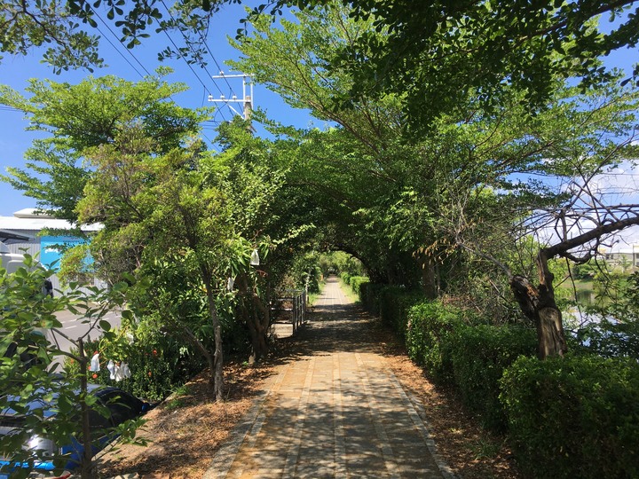 台南山海圳綠道自行車道