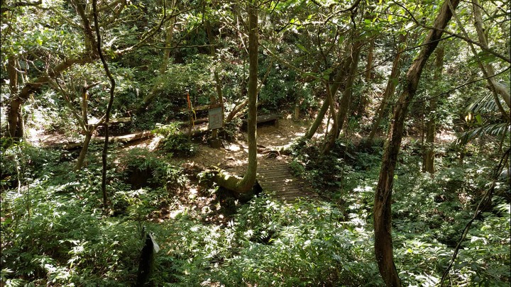 [樂山童盟] [新北平溪] 中央尖-臭頭山-東勢格越嶺步道