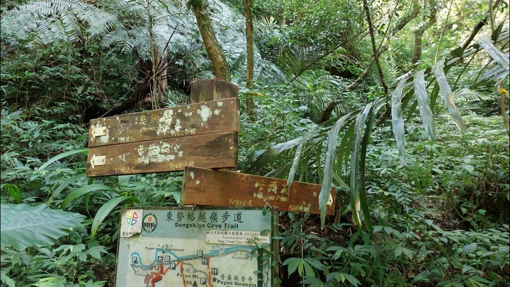 [樂山童盟] [新北平溪] 中央尖-臭頭山-東勢格越嶺步道
