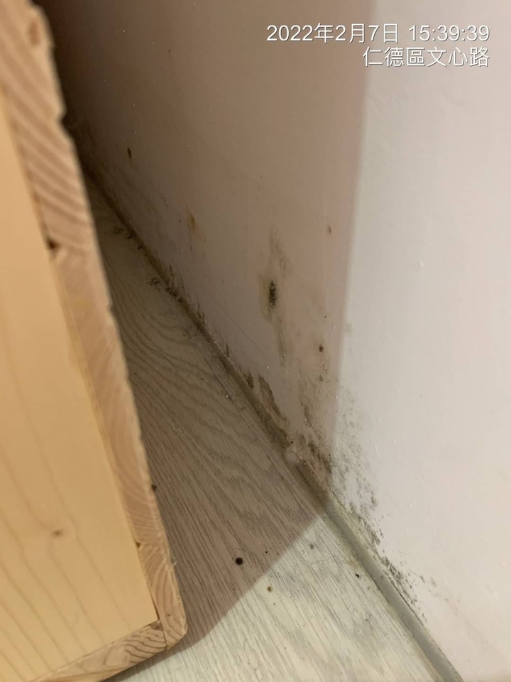 超雷建案 興富發上東城