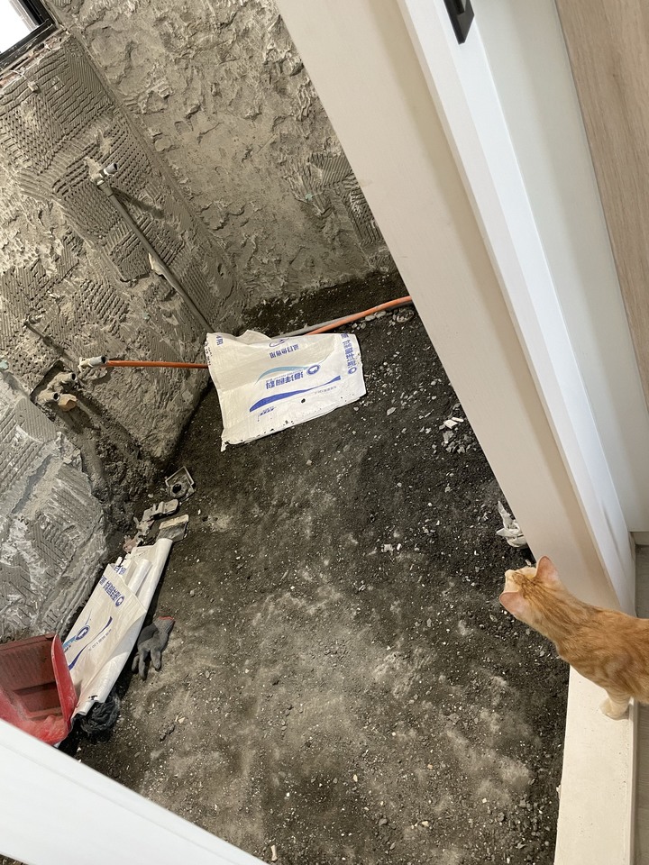 超雷建案 興富發上東城