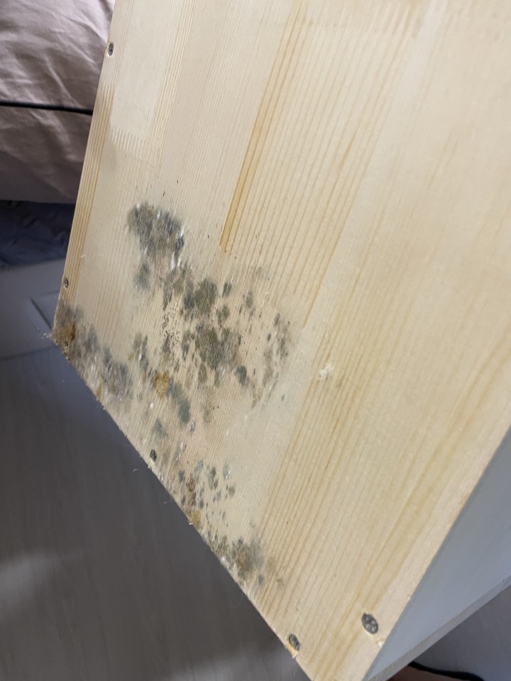 超雷建案 興富發上東城