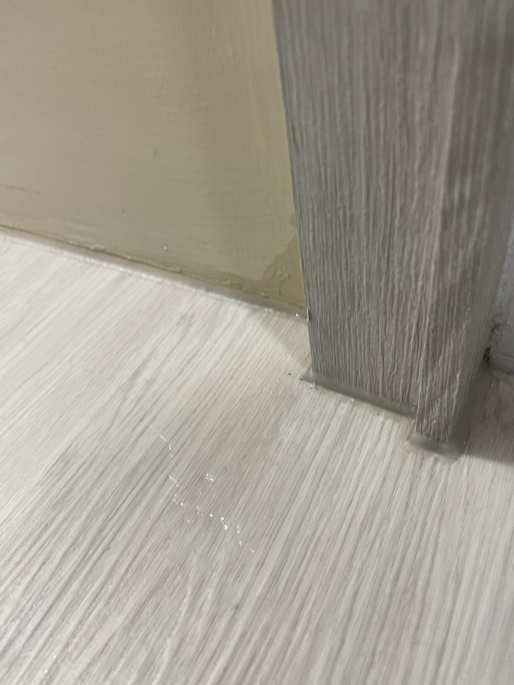 超雷建案 興富發上東城