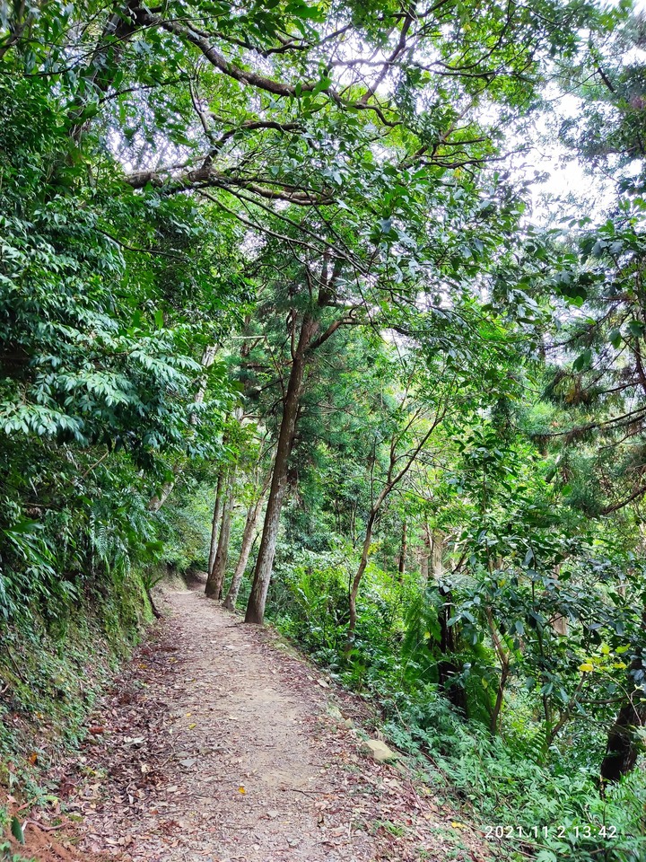 SYM Maxsym TL 騎乘體驗 台3線 羅馬公路 東眼山