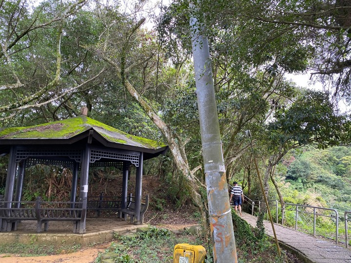 台北南港｜南港山．親民好走的小百岳，飽覽101跟台北市區風景