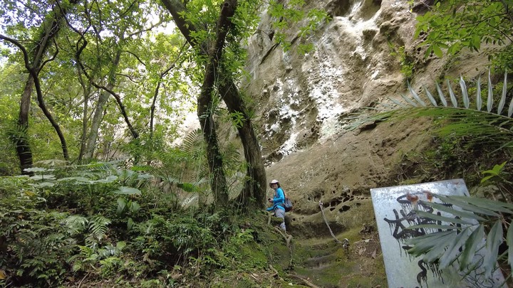 [樂山童盟] [新北平溪] 中央尖-臭頭山-東勢格越嶺步道