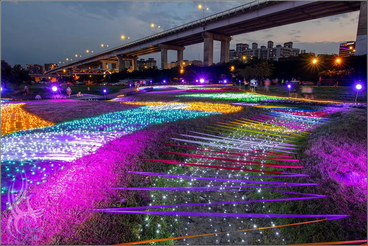 板橋蝴蝶公園．2022河濱蝶戀季