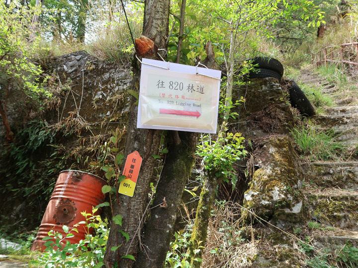 【畢祿山】新登山口高繞路況介紹 | 單攻中橫四辣之中辣