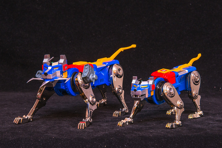 Blitzway × 5PRO STUDIO CARBOTIX《聖戰士》VOLTRON