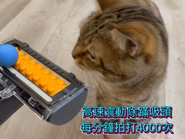 點我看大圖