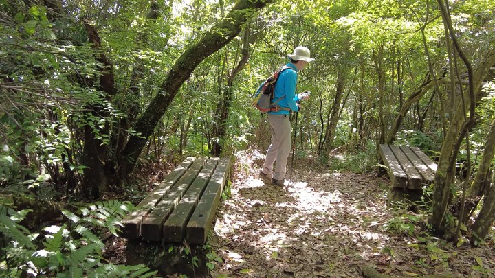 [樂山童盟] [新北平溪] 中央尖-臭頭山-東勢格越嶺步道