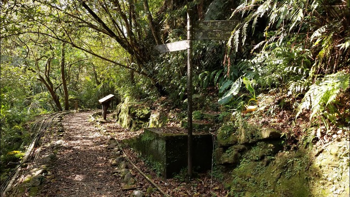 [樂山童盟] [新北平溪] 中央尖-臭頭山-東勢格越嶺步道