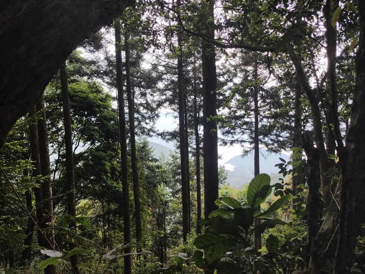 單攻西巒大山剩1.8K撤退