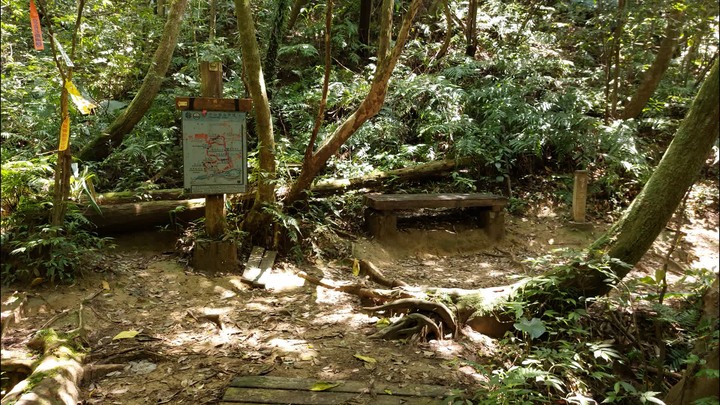 [樂山童盟] [新北平溪] 中央尖-臭頭山-東勢格越嶺步道