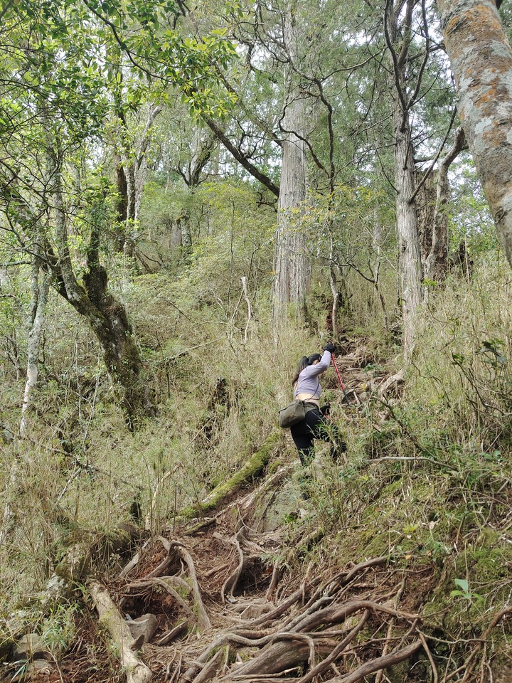 單攻西巒大山剩1.8K撤退