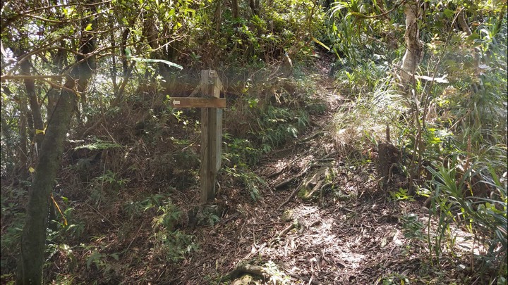 [樂山童盟] [新北平溪] 中央尖-臭頭山-東勢格越嶺步道