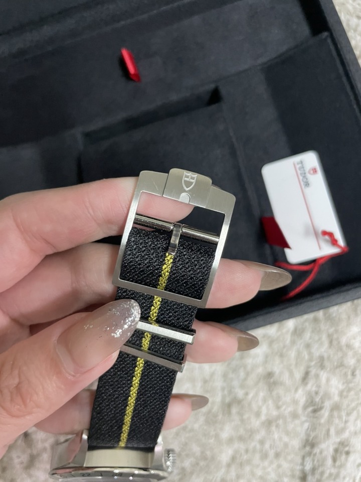 TUDOR Black Bay Pro 不專業開箱(文長圖少)....補上鍊帶照