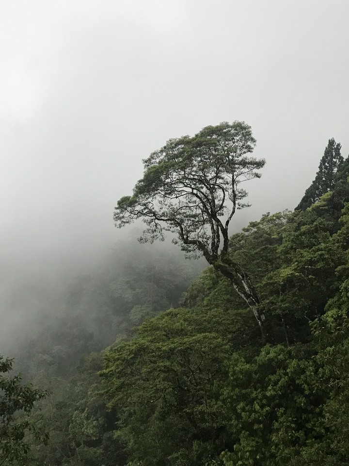環島南橫路線介紹&環島必通點