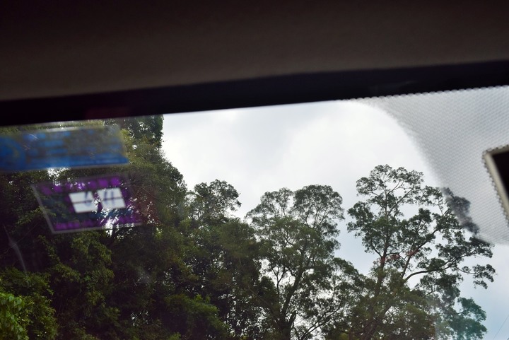 {追憶之旅}> 反共救國團自強活動 南橫健行隊~