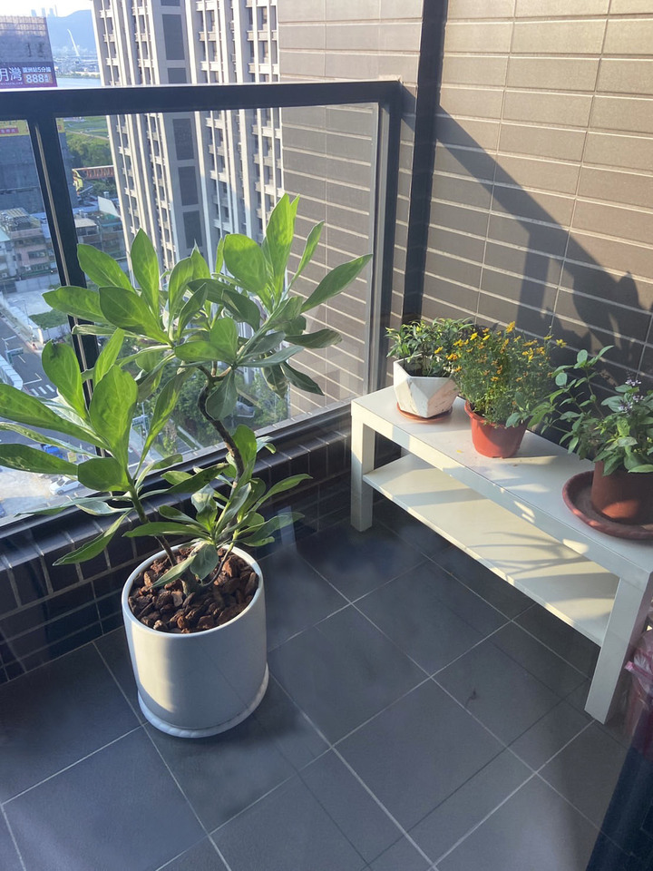 【低預算裝潢】 溫潤系軟裝一起打造我們的家