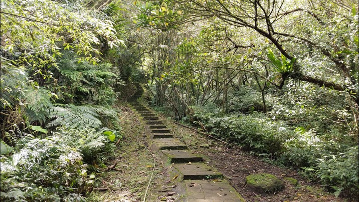 [樂山童盟] [新北平溪] 中央尖-臭頭山-東勢格越嶺步道
