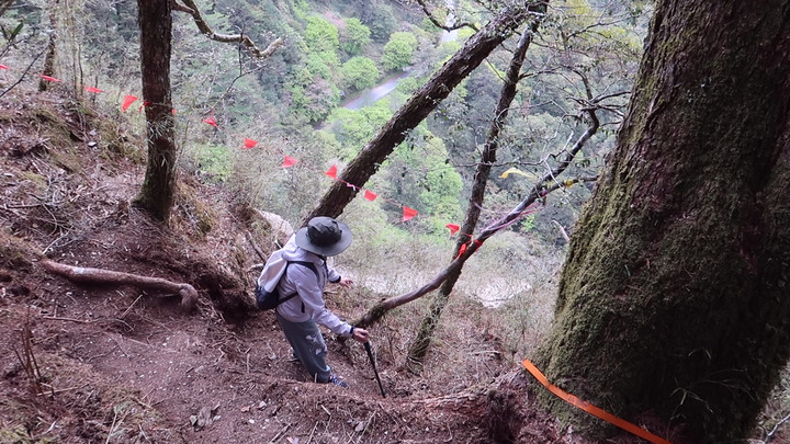 點我看大圖 【畢祿山】新登山口高繞路況介紹 | 單攻中橫四辣之中辣