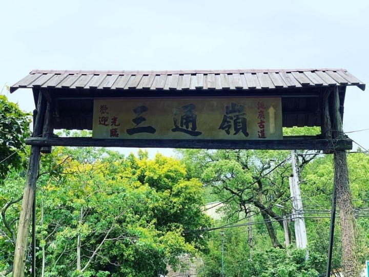 苗栗桐花五大景點推薦！想追「五月雪」就趁現在！