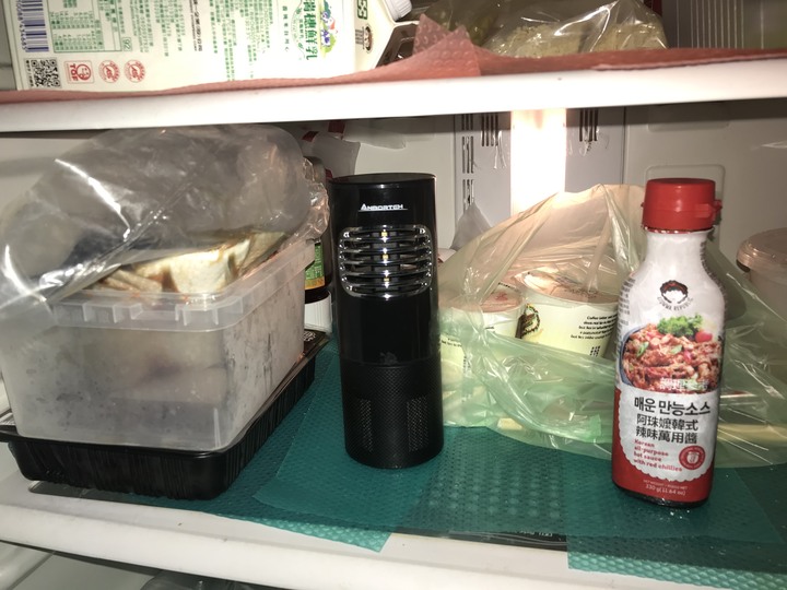 車用行動冰箱DIY乾熟成牛肉 (家用冰箱 vs 車用冰箱)條件分析