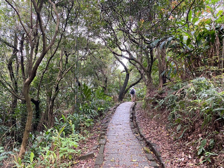 台北南港｜南港山．親民好走的小百岳，飽覽101跟台北市區風景